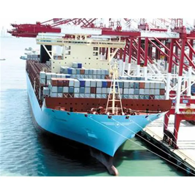 Common Types of Cargo in Sea Freight